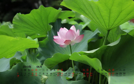 491875 (a): :1680x1050
